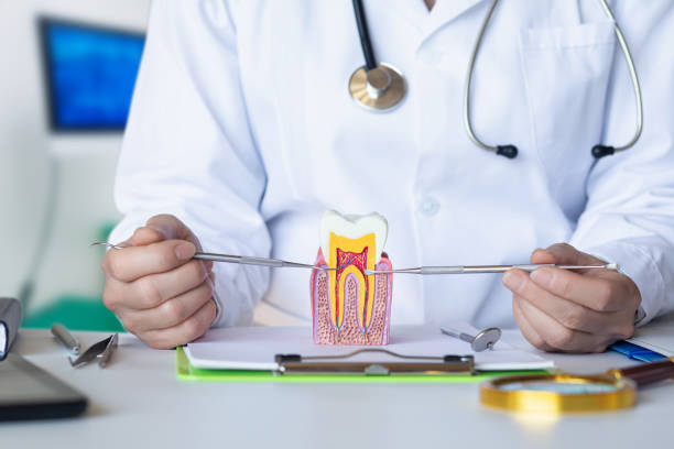 Best Emergency Orthodontic Repairs in Portage, MI